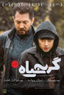 Gorbe Siah Iranian Movie