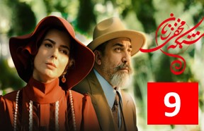 Shaba Episode 9