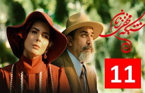 Shaba Episode 11