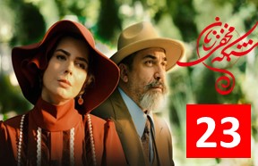 Shaba 23